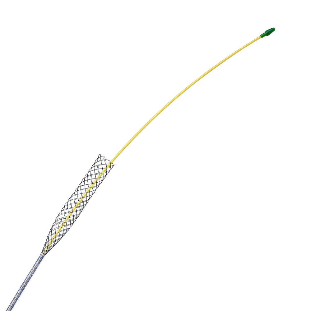 Biliary stent - PTCD Introducer system