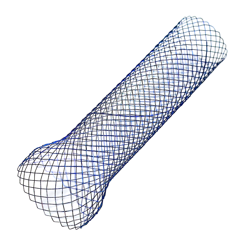 Esophagus stent - Covered esophagus stent